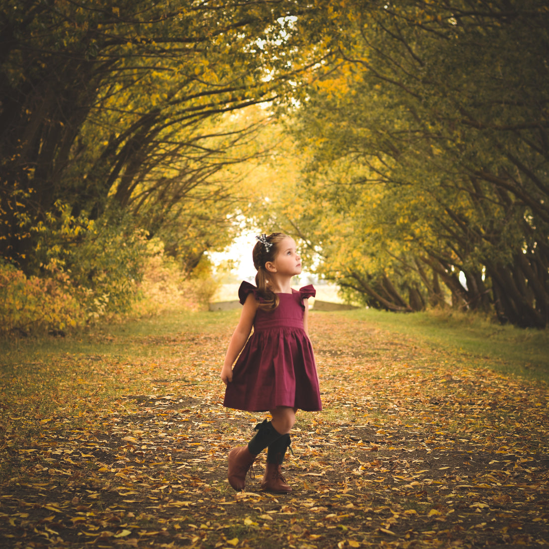 The Magic of The Holiday Season