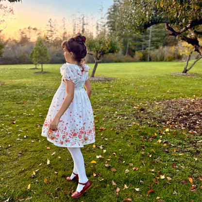 Lily Dress in Swiss Border Print Red and Pink Floral | A Winter's Tale | MTO